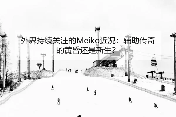 外界持续关注的Meiko近况：辅助传奇的黄昏还是新生？